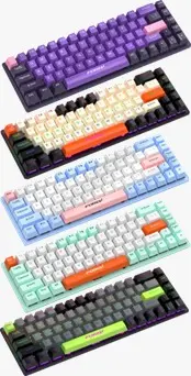 WhatsApp Image 2026-02-21 at 10.31.57 PM.webp