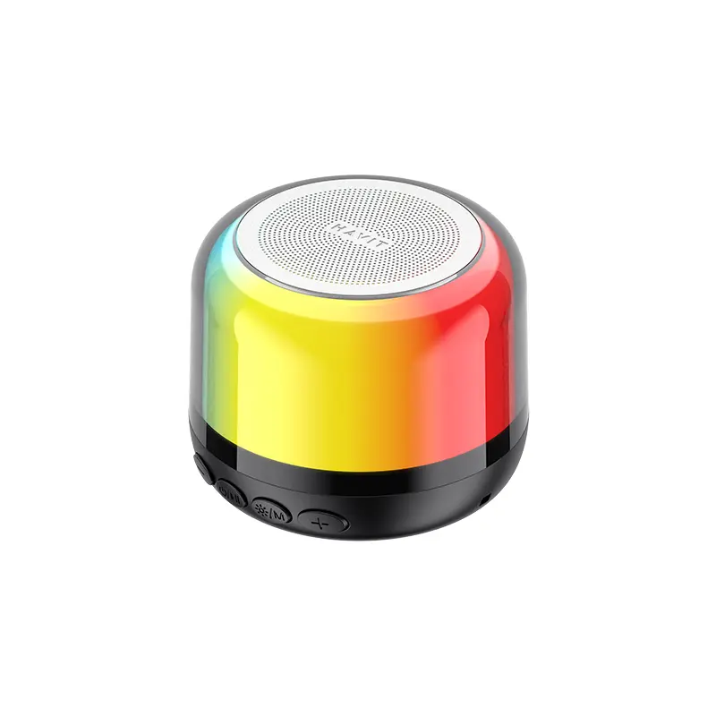 Havit SK887BT Wireless Portable Speaker