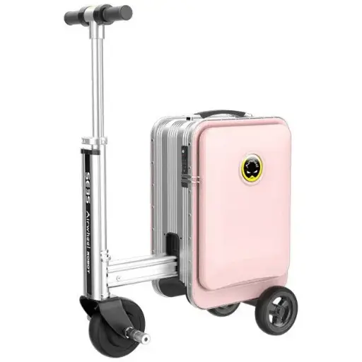 [13547] SE3S Smart Travel Bag (Pink)